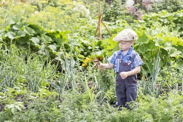 Future CSA